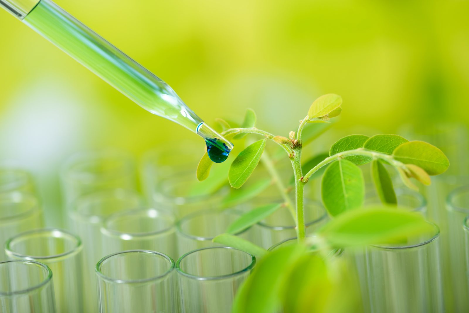 Pipette dropping a liquid onto a young green plant above laboratory test tubes